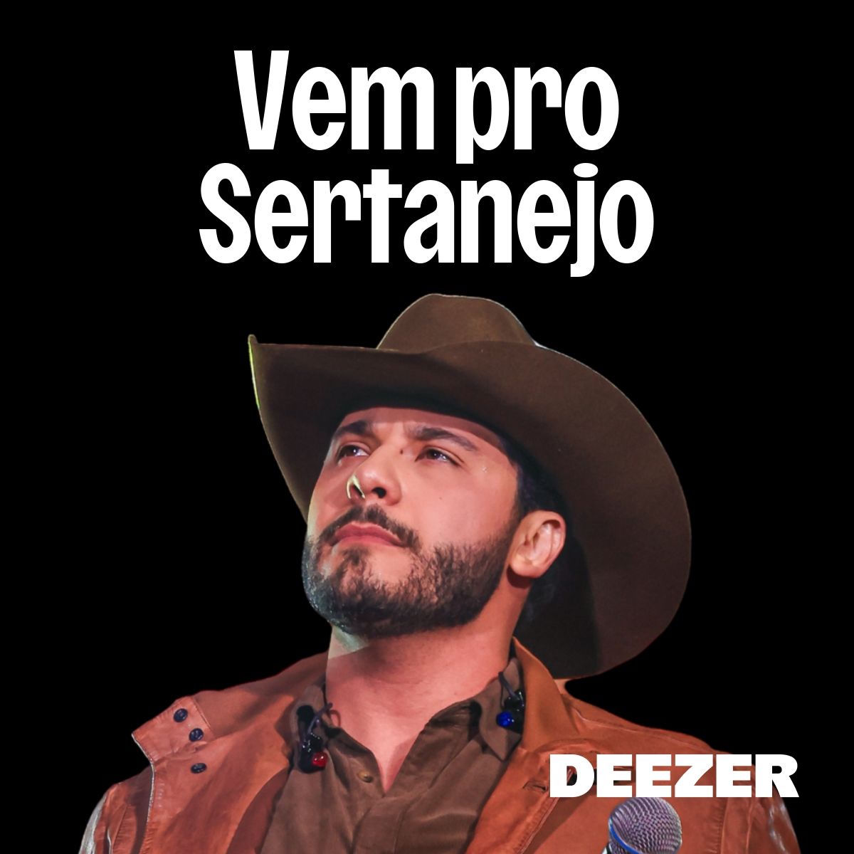 Cover of playlist Vem pro Sertanejo