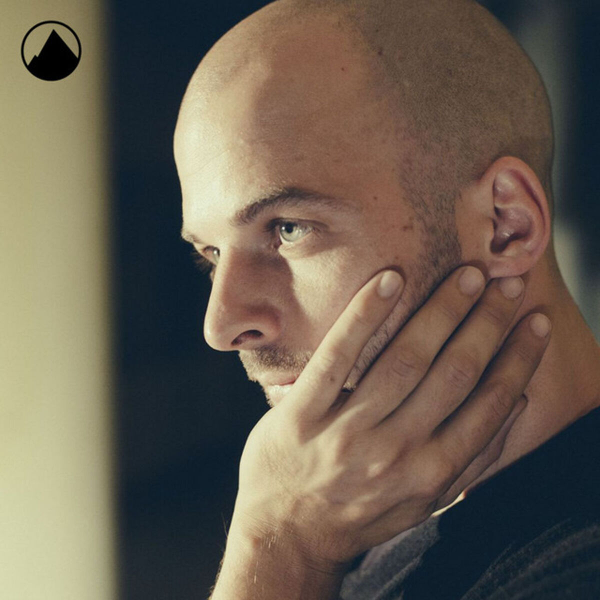 Cover of playlist Nils Frahm Selected Works