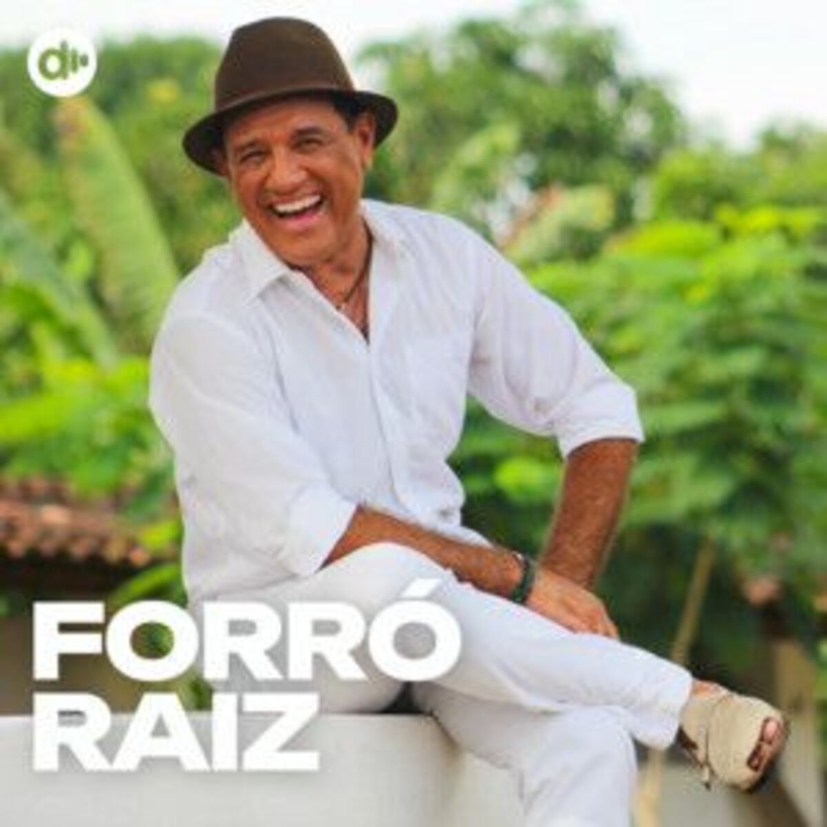 Cover of playlist Forró Raiz | Forró das Antigas