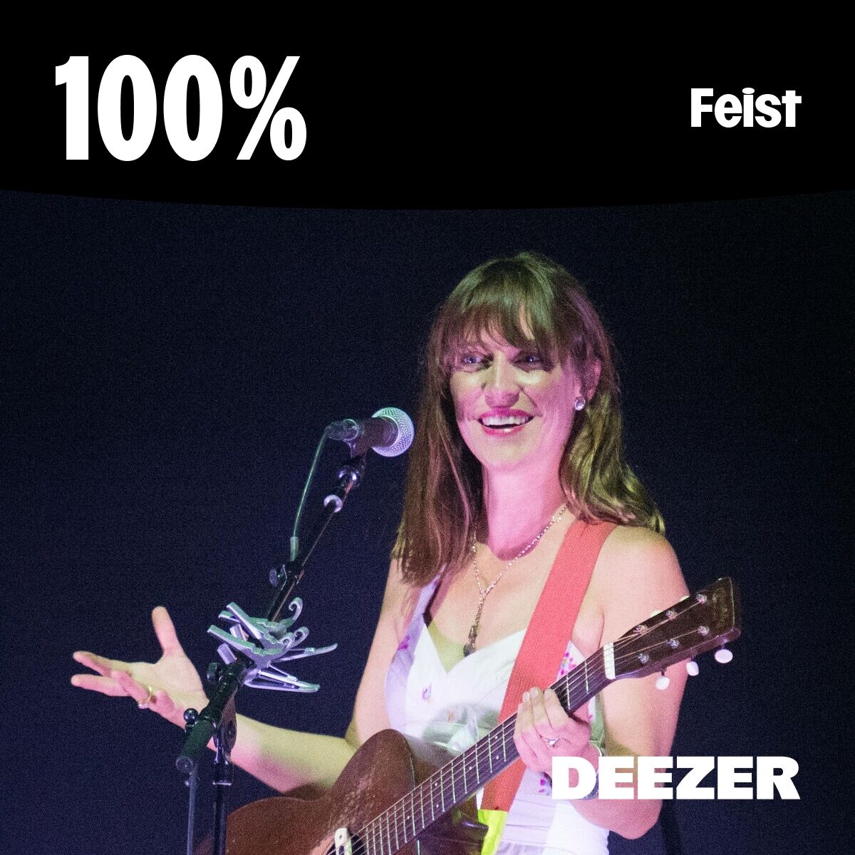 Cover of playlist 100% Feist