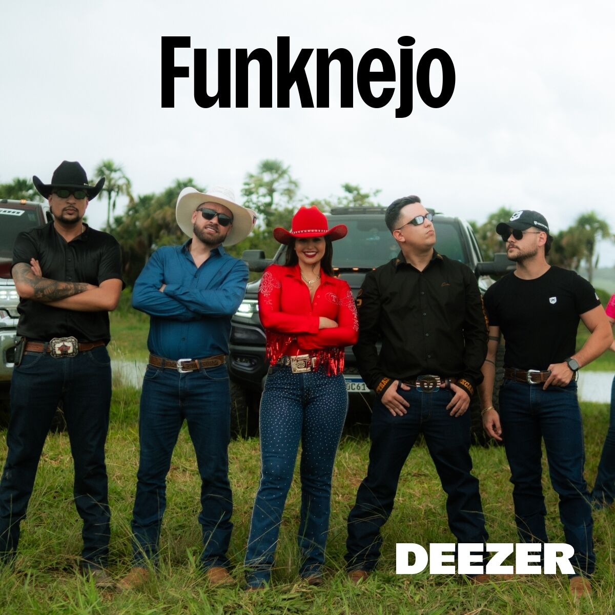 Cover of playlist Funknejo
