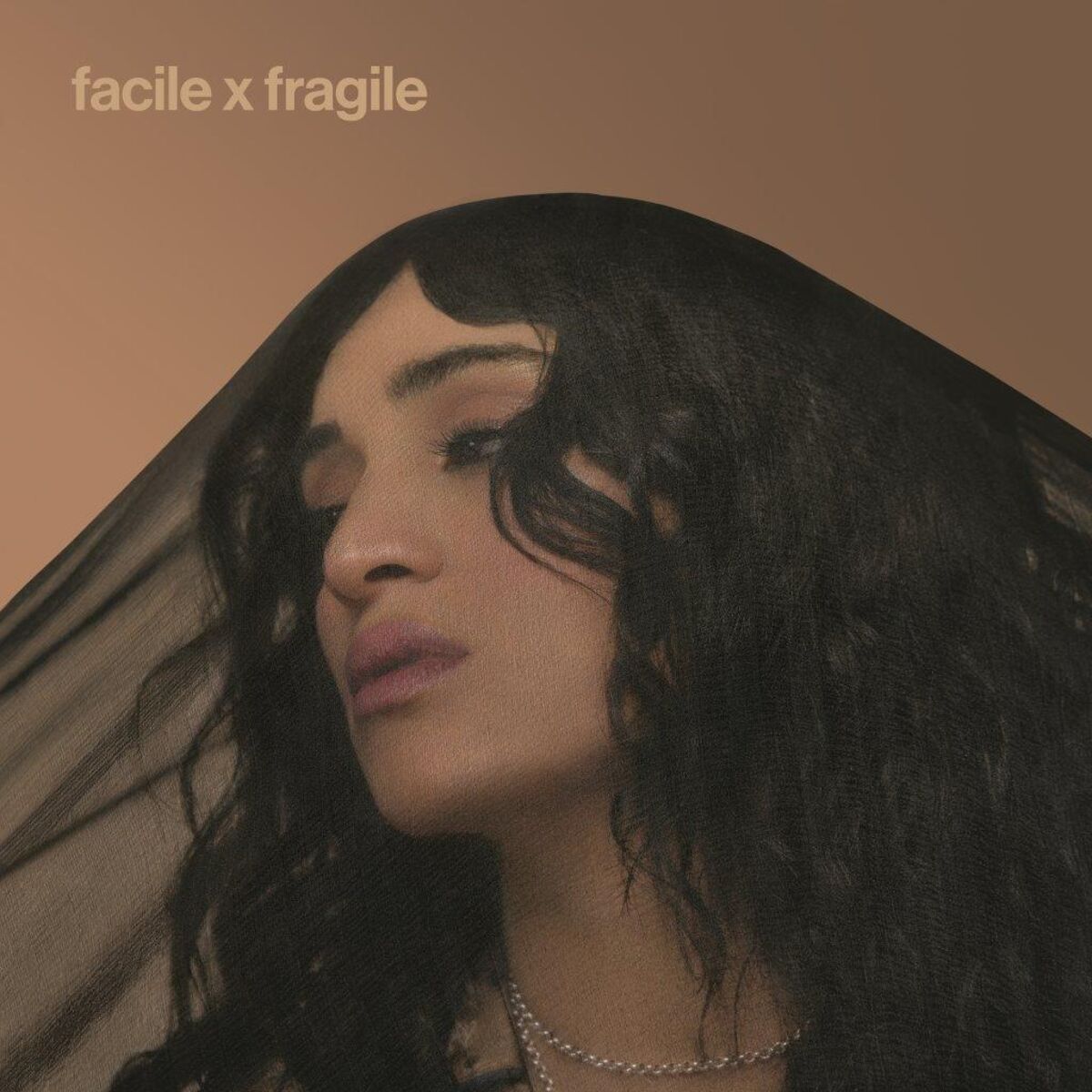 Cover of playlist Camélia Jordana - Facile x Fragile + Best Of