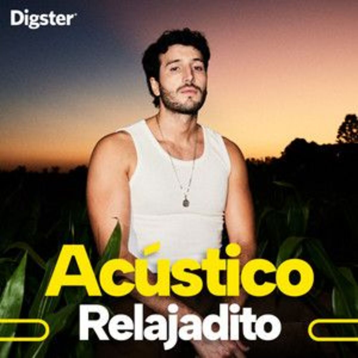 Cover of playlist Acústico Relajadito