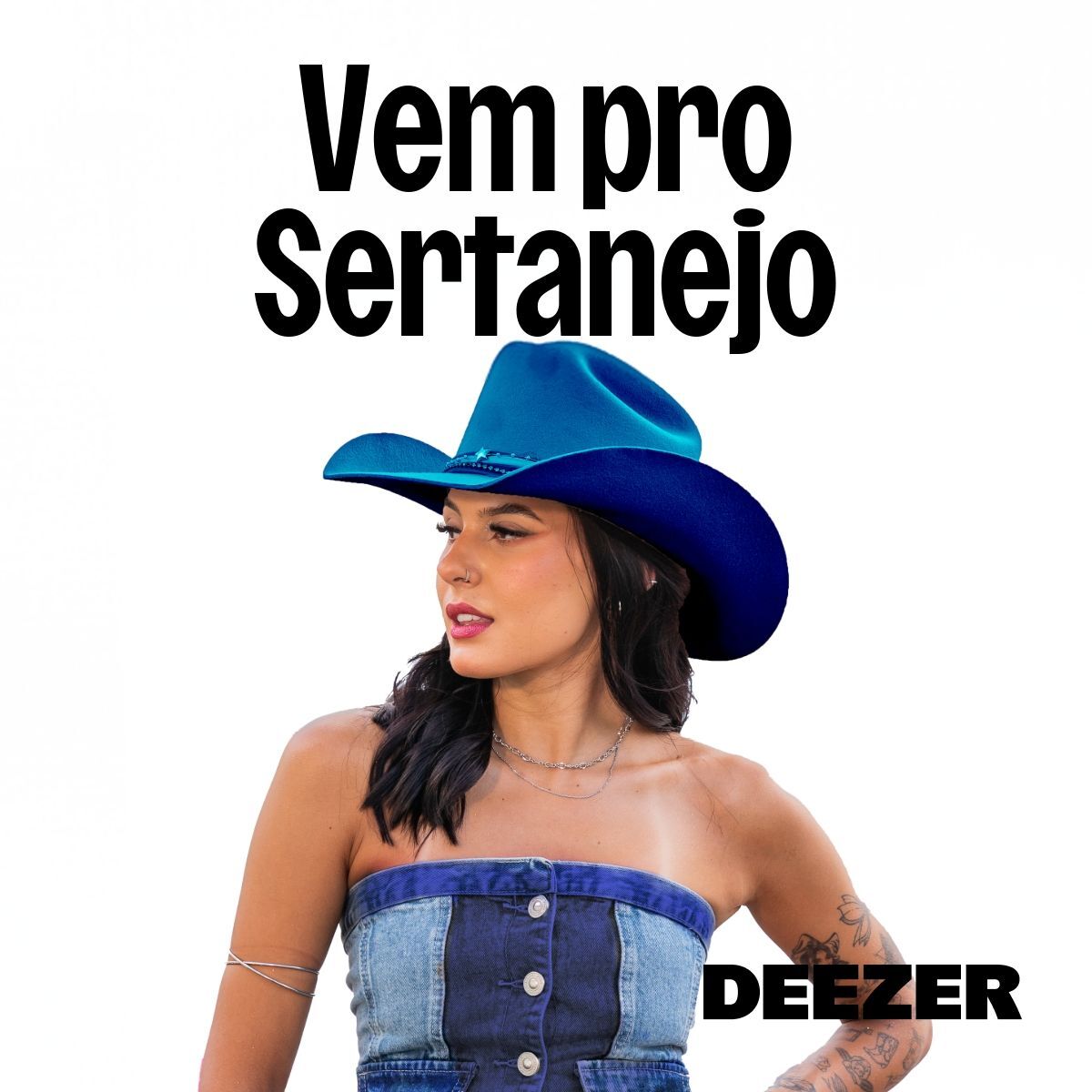 Cover of playlist Vem pro Sertanejo