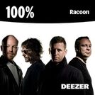 100% Racoon