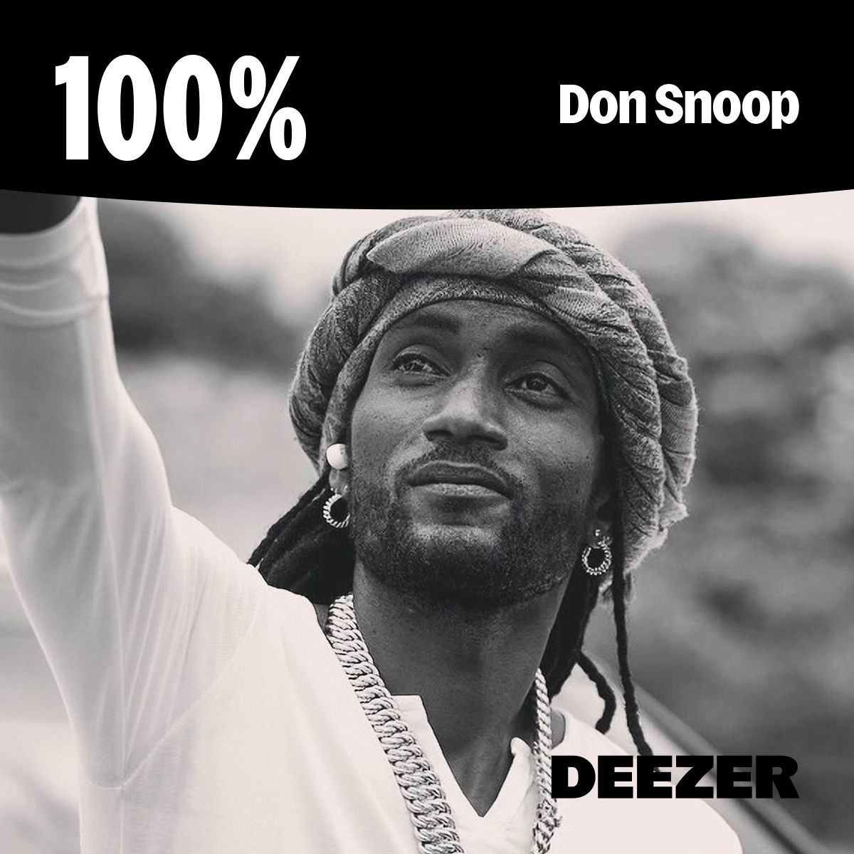 Cover of playlist 100% Don Snoop