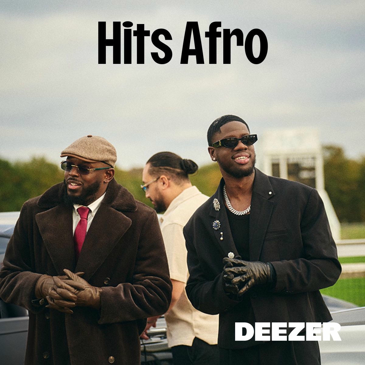 Cover of playlist Hits Afro