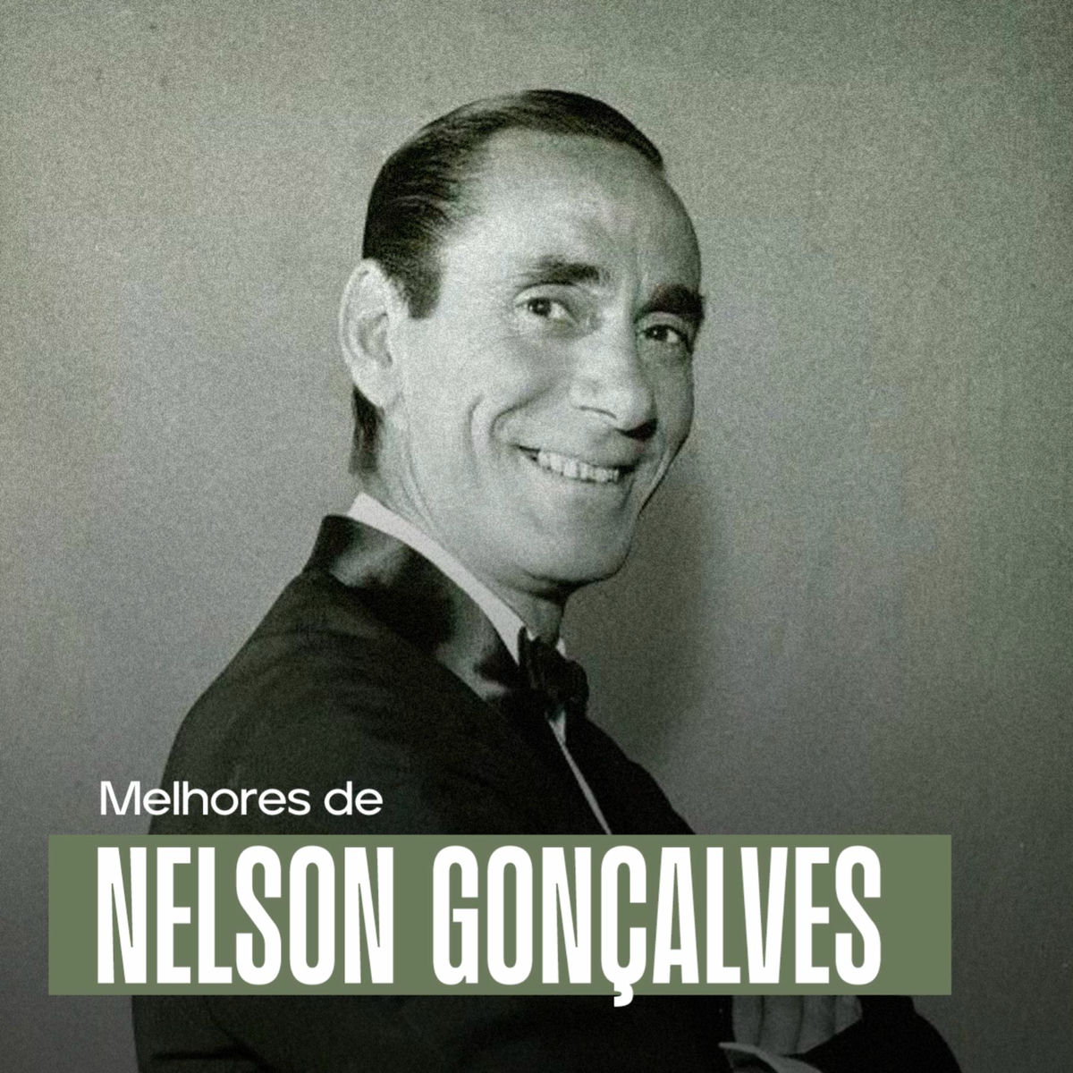 Cover of playlist O MELHOR DE NELSON GONÇALVES 🎤