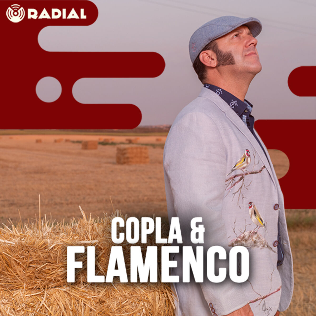 Cover of playlist Copla y Flamenco