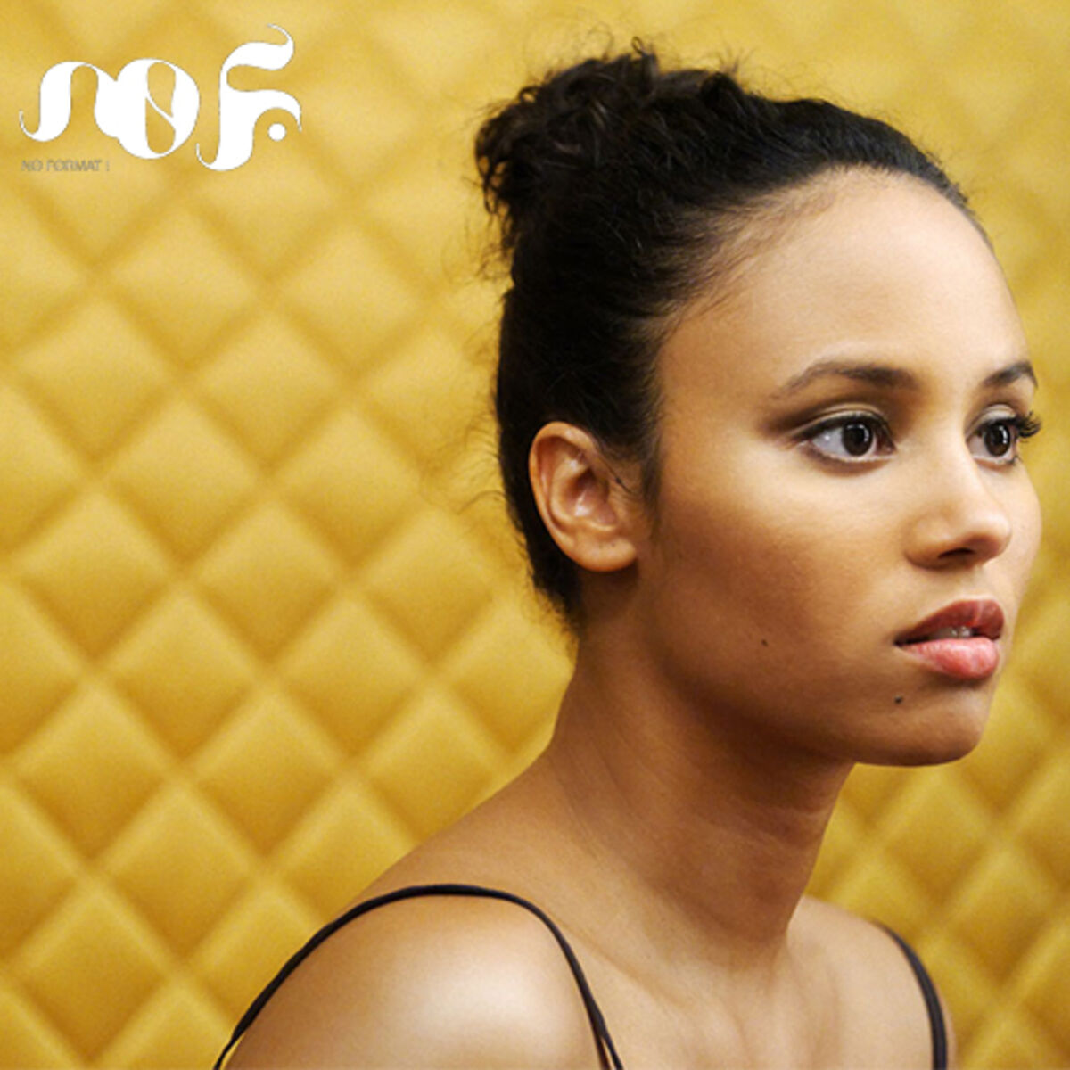 Cover of playlist Playlist NØ FØRMAT par Mayra Andrade