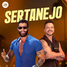 Top Sertanejo 2025 ⭐ Hits Sertanejos!