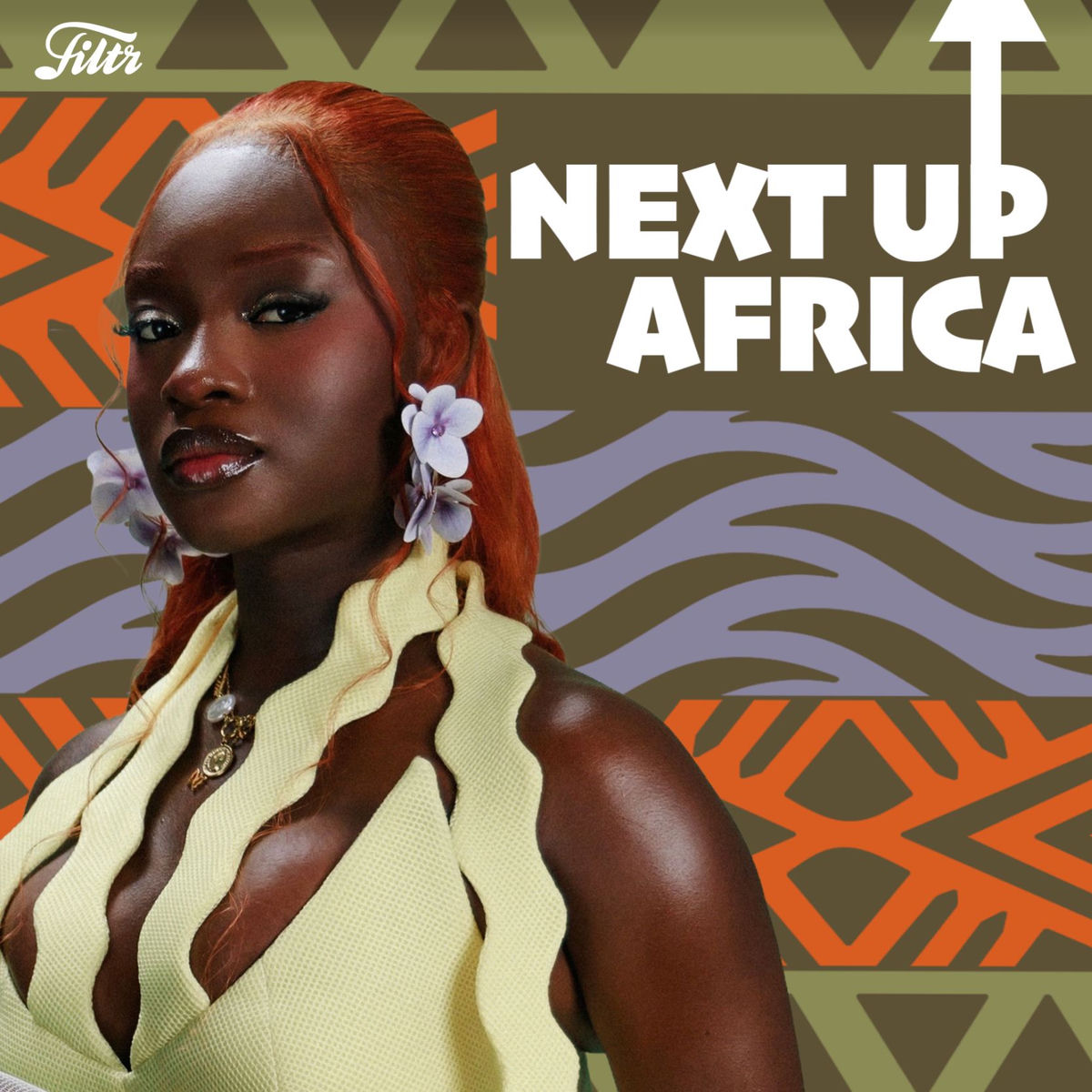 Cover of playlist NEXT UP AFRICA