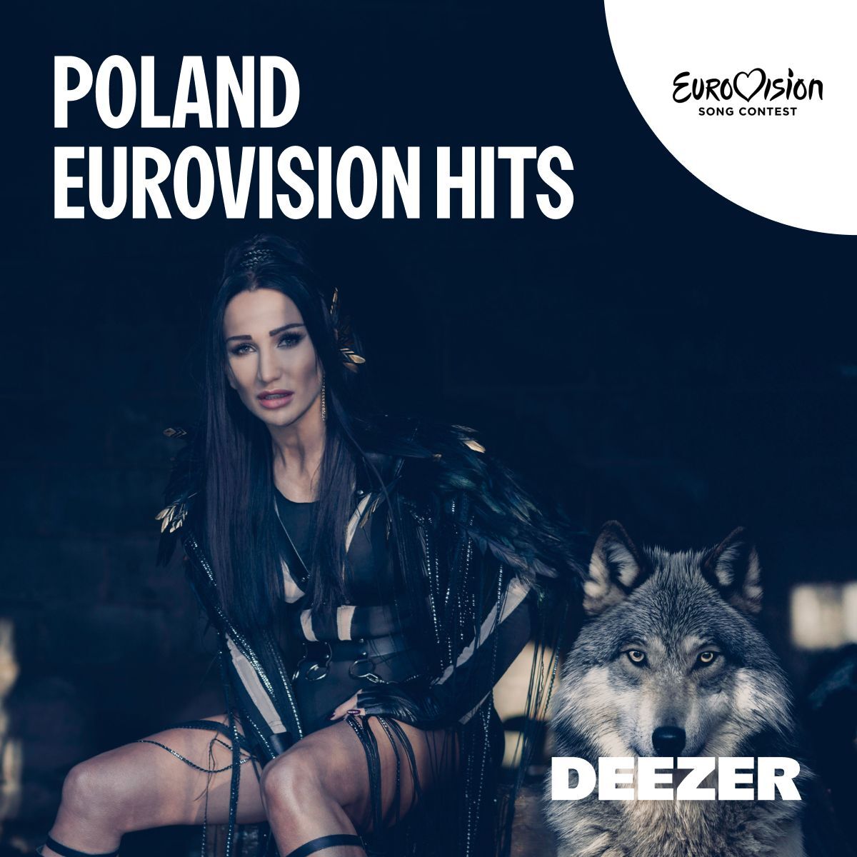 Cover of playlist Poland Eurovision Hits