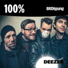 100% BRDigung