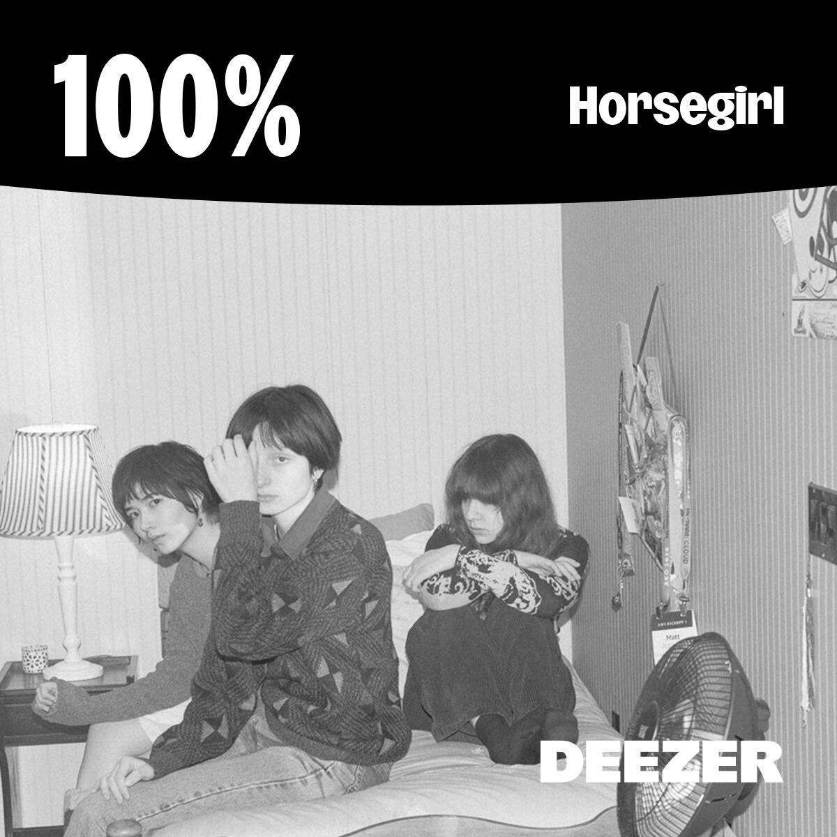 Cover of playlist 100% Horsegirl
