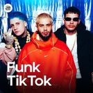 Funk TikTok 2025 🔥 Hits TikTok | MTG As Melhores