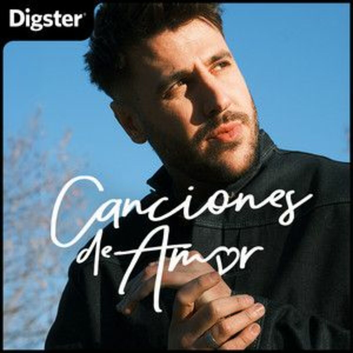 Cover of playlist CANCIONES DE AMOR ❤️  ROMANTICAS 2025