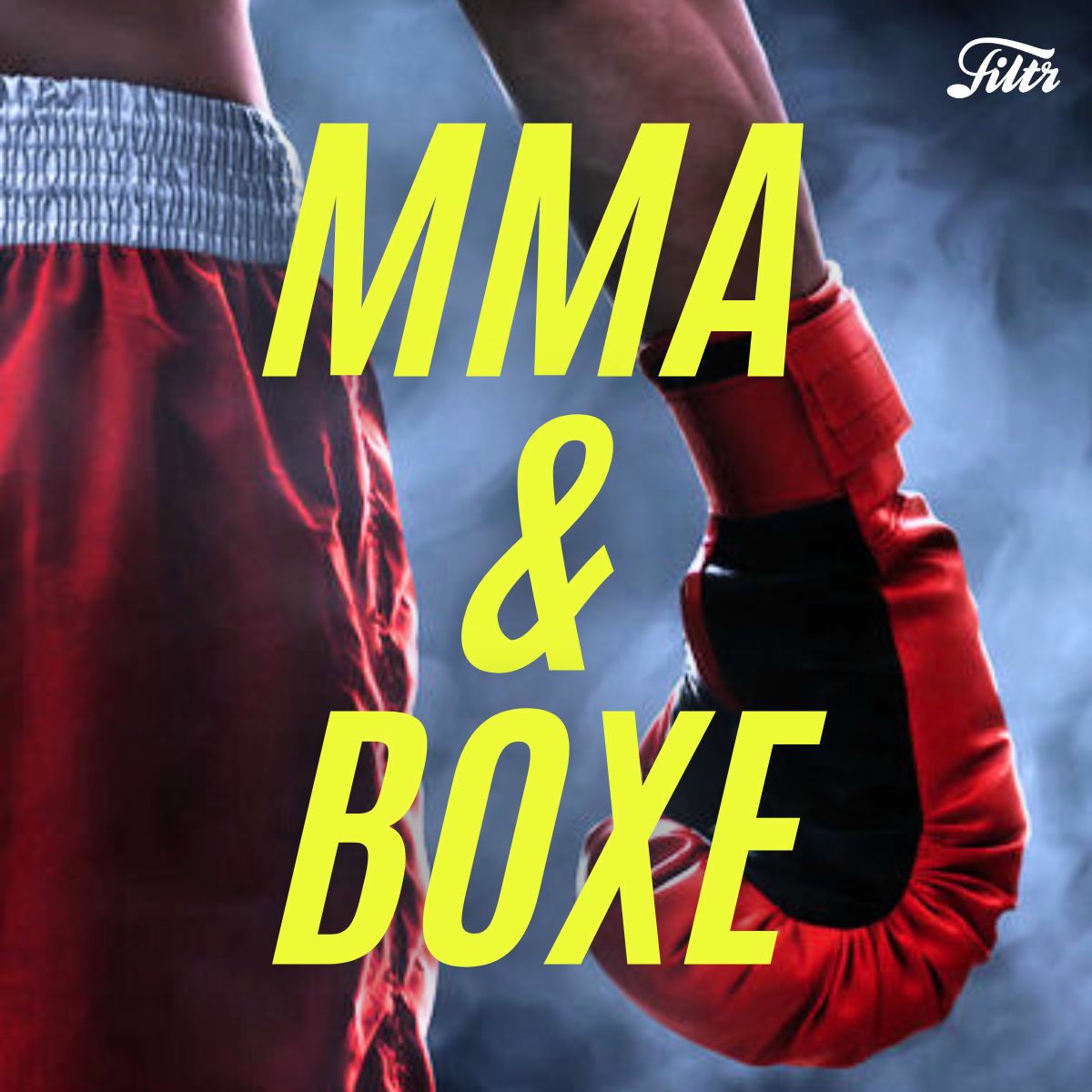 Cover of playlist BOXE ET MMA 🥊Thai, Anglaise JJB, Kickboxing