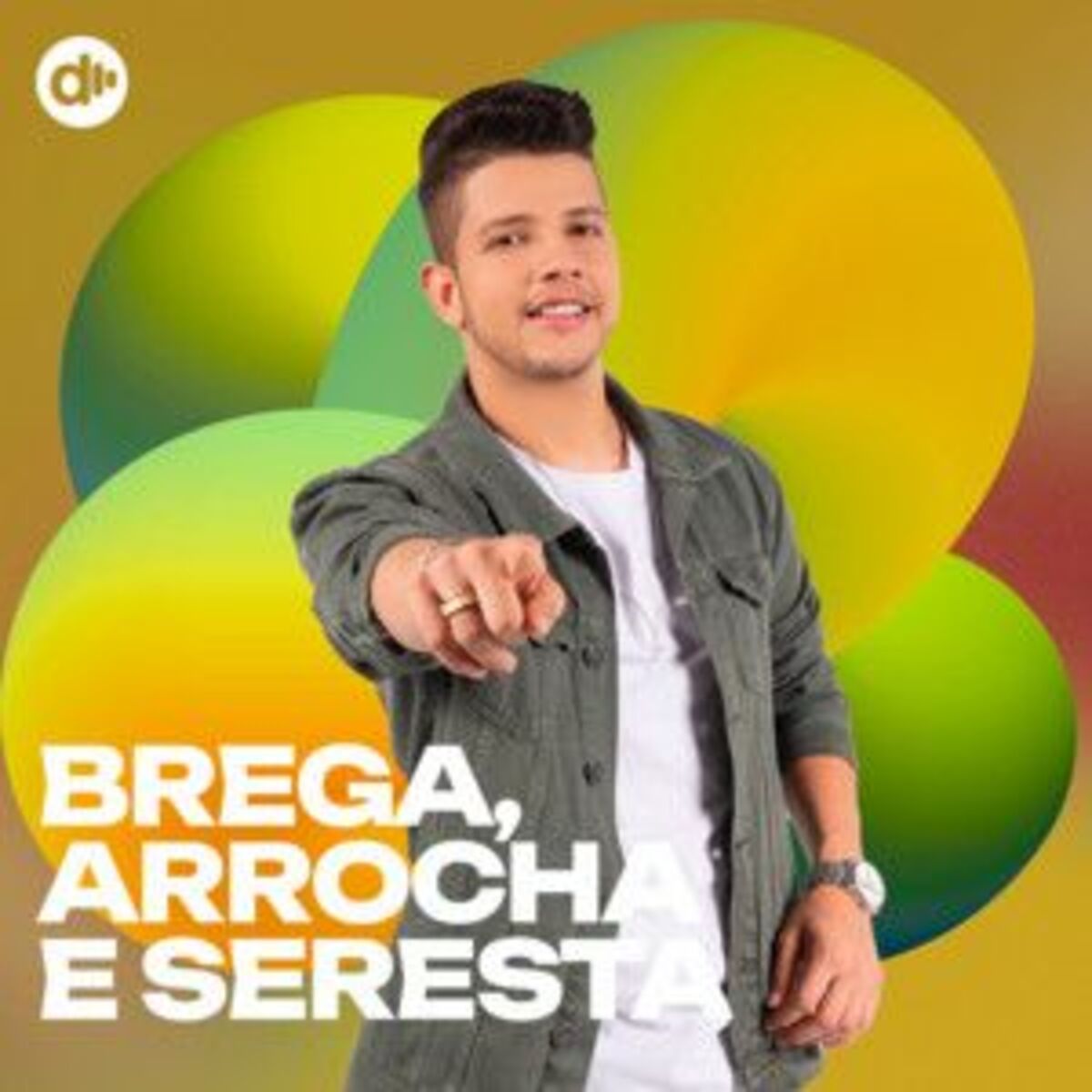 Cover of playlist O melhor do Brega, Arrocha e Seresta 🔥Seresta 2025