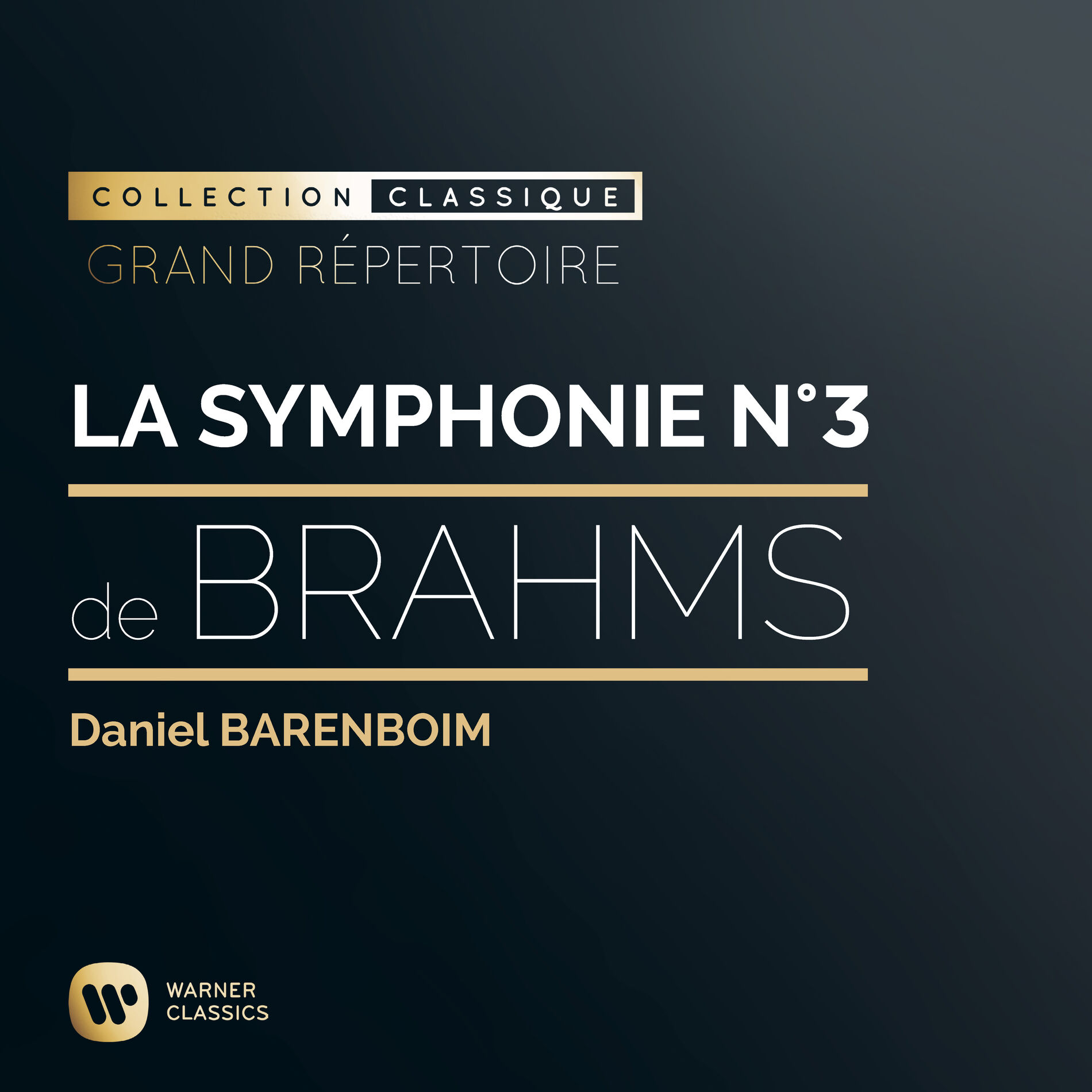 Cover of playlist La Symphonie n°3 (Brahms)