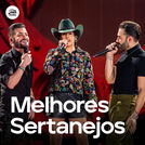 Melhores Sertanejos 2025 🔝 Hits Sertanejos