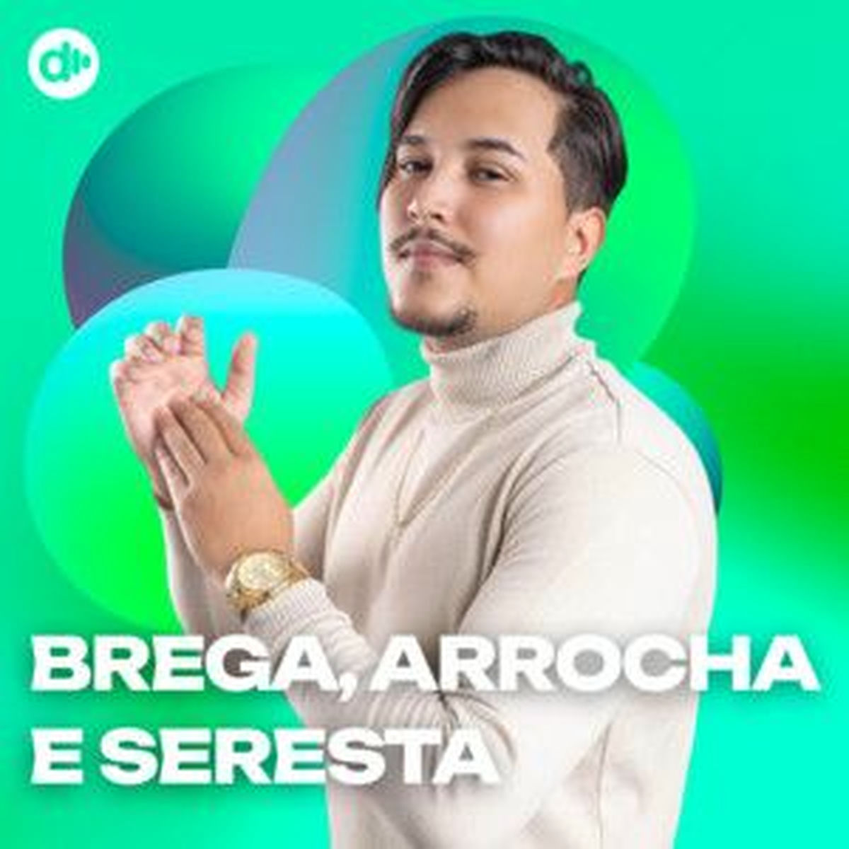 Cover of playlist Brega, Arrocha e Seresta 🔥Seresta 2025