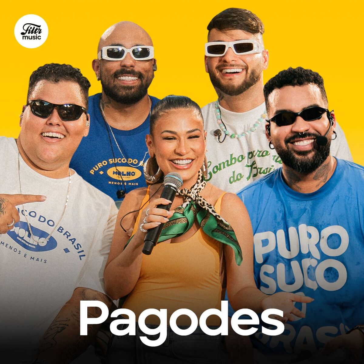 Cover of playlist Pagodes 2025 - Lançamentos e Mais Tocados