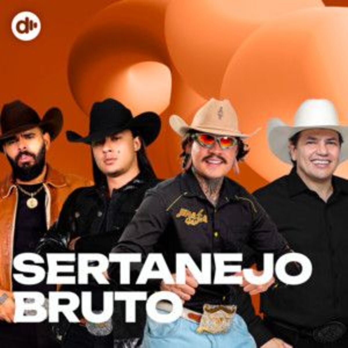 Cover of playlist Sertanejo Bruto 🔥