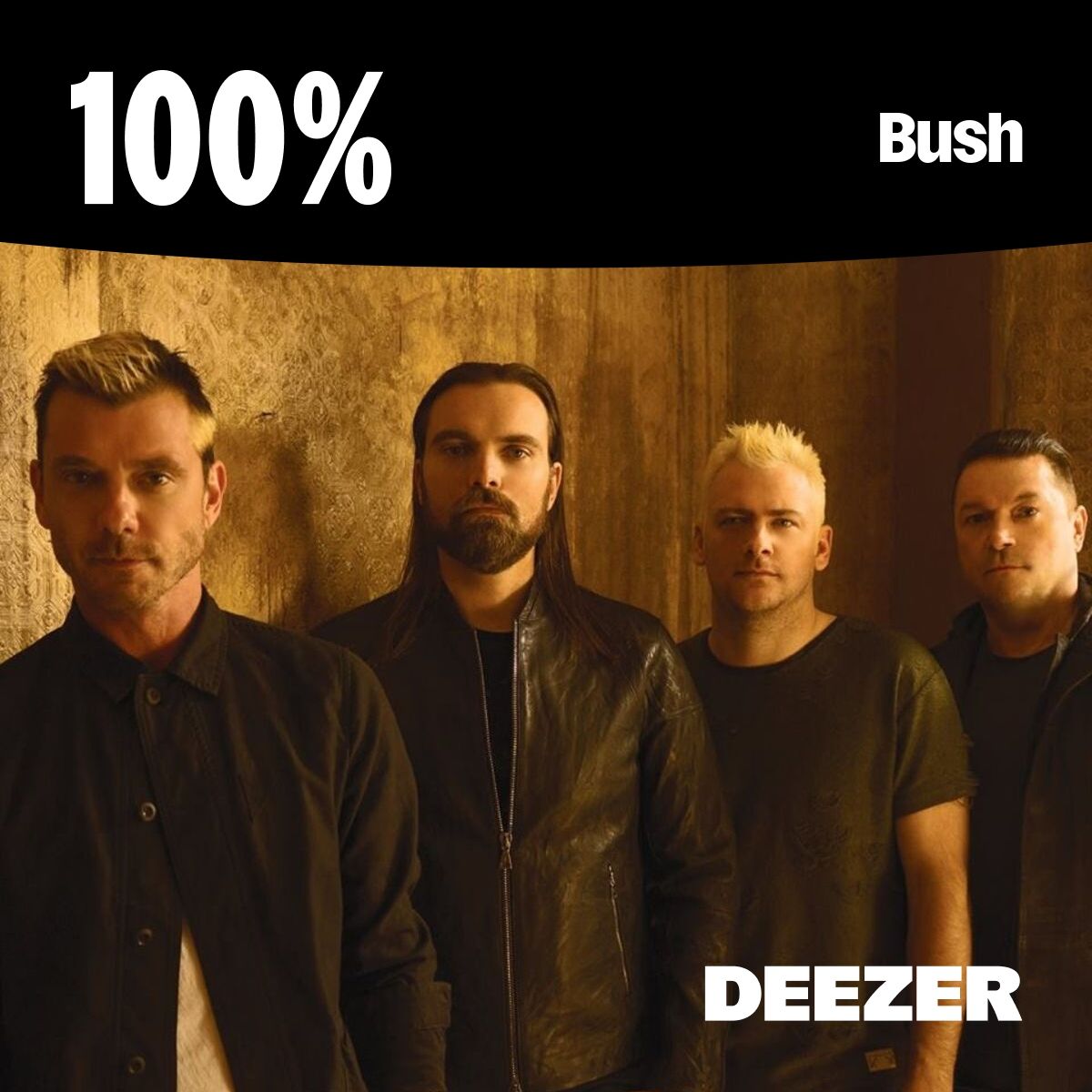 Cover of playlist 100% Bush