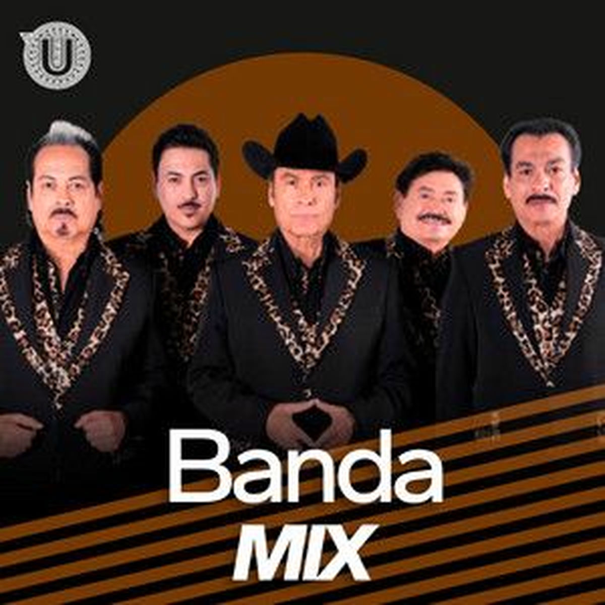 Cover of playlist Banda Mix