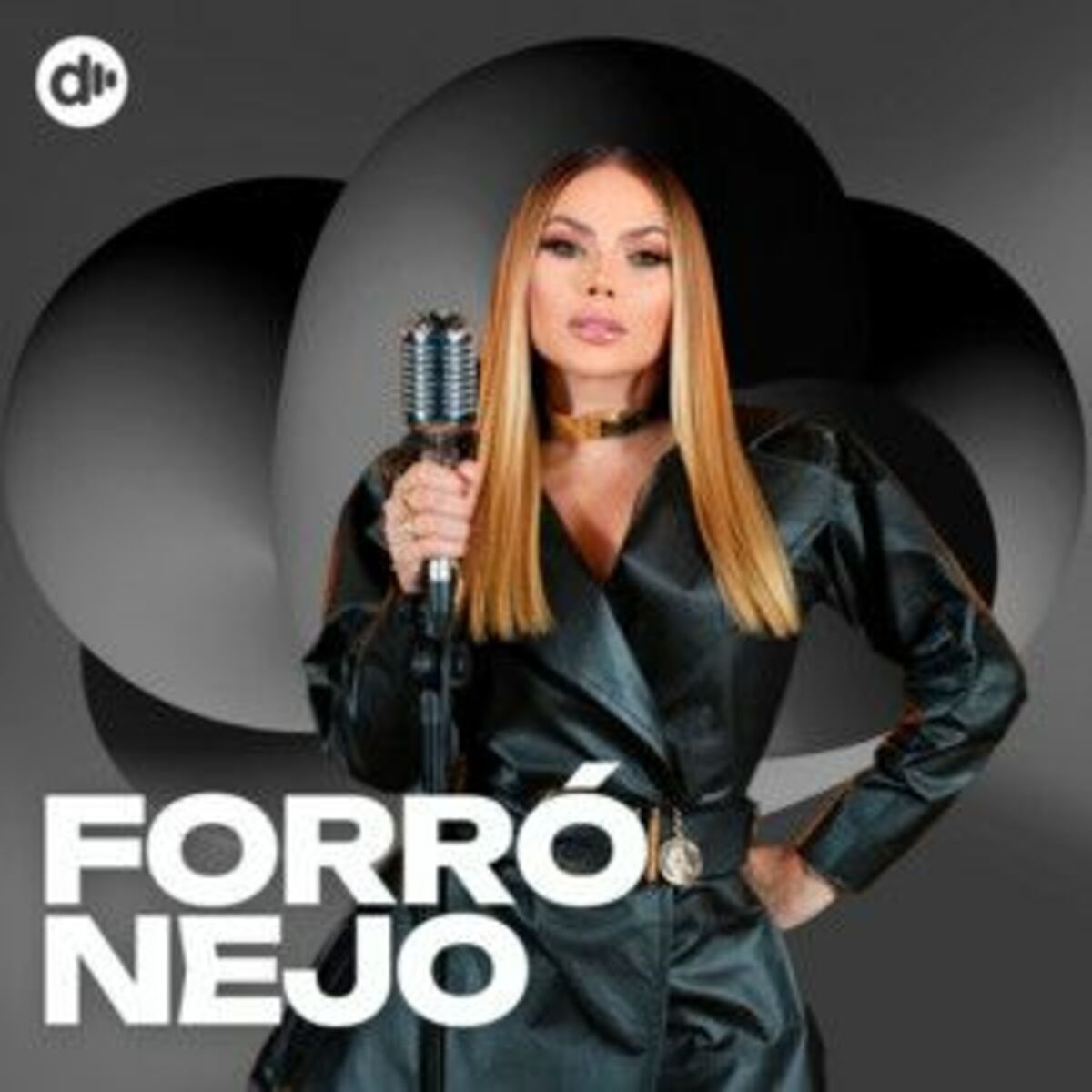 Cover of playlist Forronejo