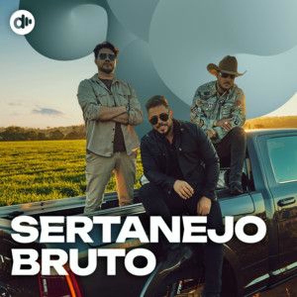 Cover of playlist Sertanejo Bruto 🔥
