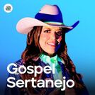 Sertanejo Gospel 2025 - Top Piseiro Gospel