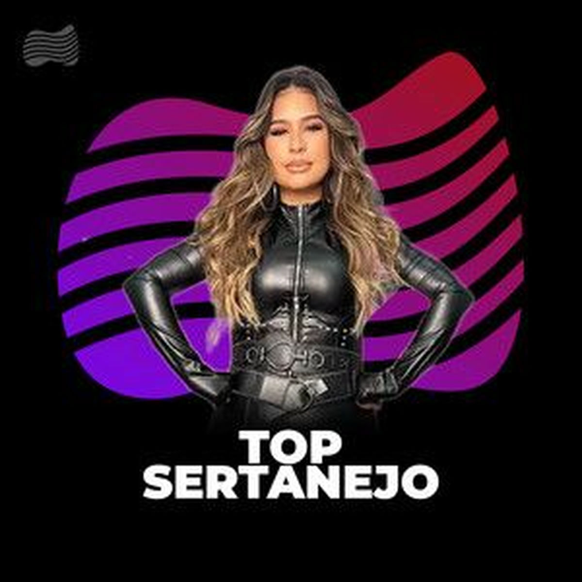 Cover of playlist Top Sertanejo 2025