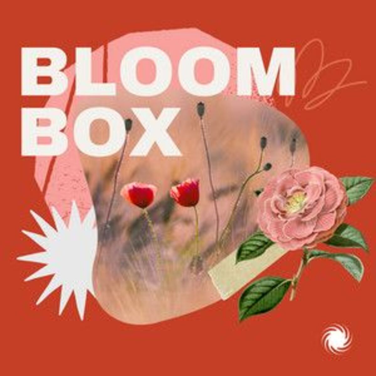 Cover of playlist Bloom Box | Spring’s freshest tracks