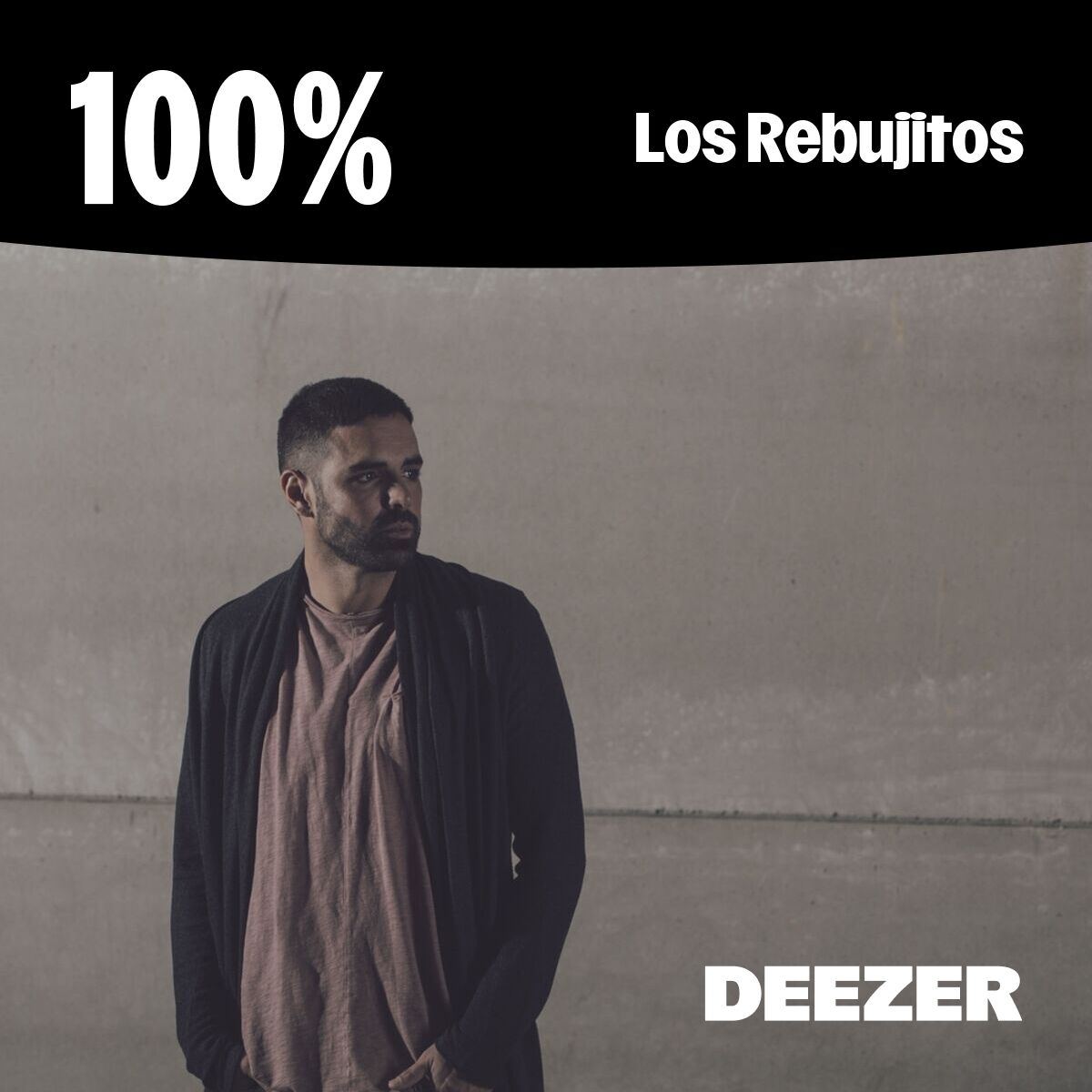 Cover of playlist 100% Los Rebujitos