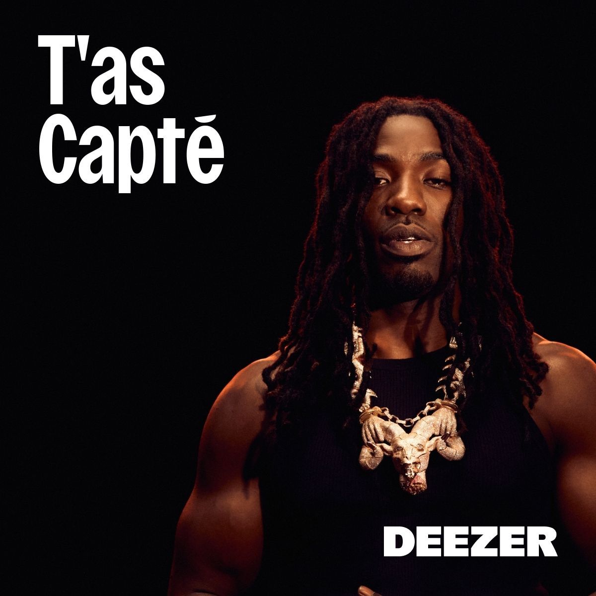 Cover of playlist T'as Capté