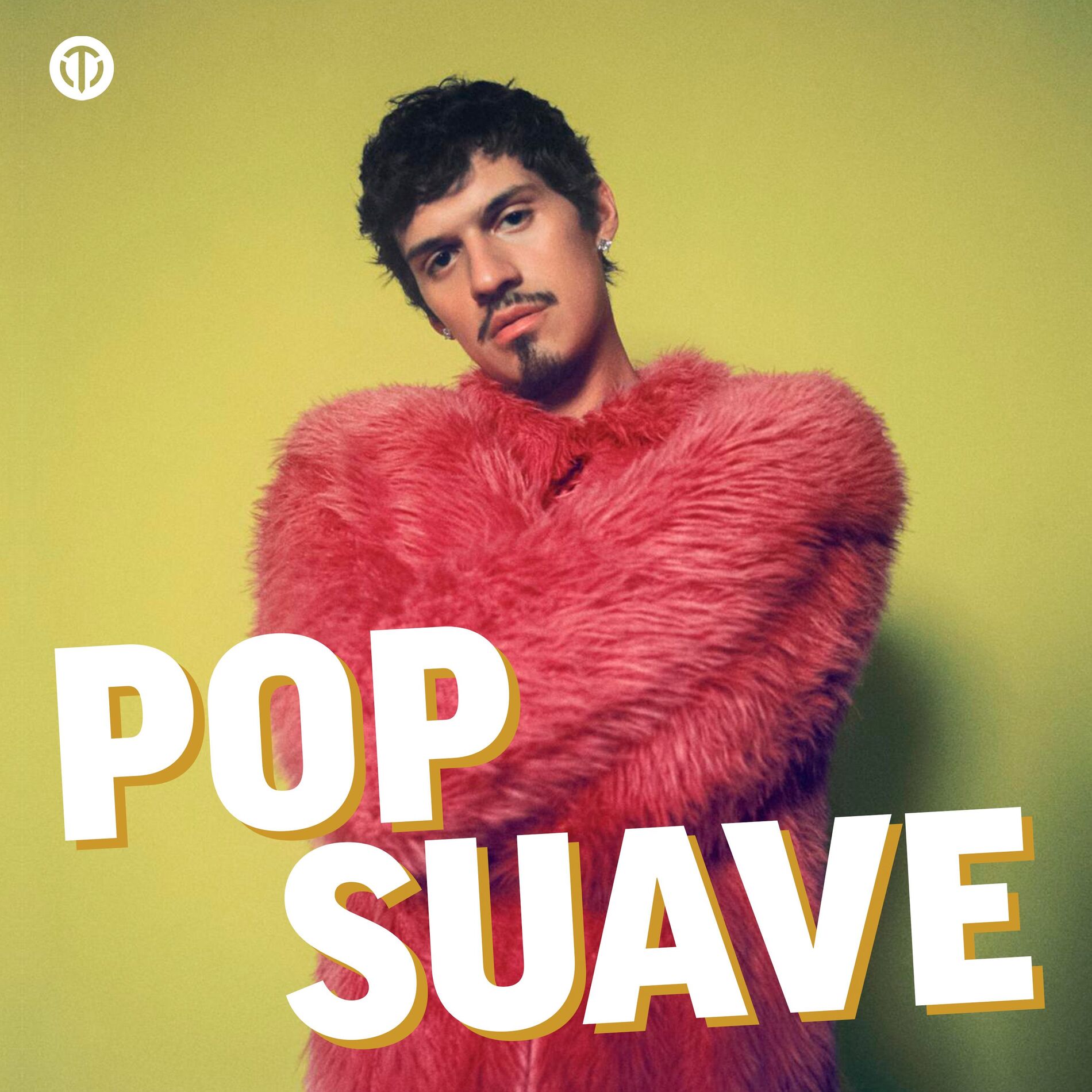 Cover of playlist Pop Suave 2025 ∙ Música Leve Para Relaxar