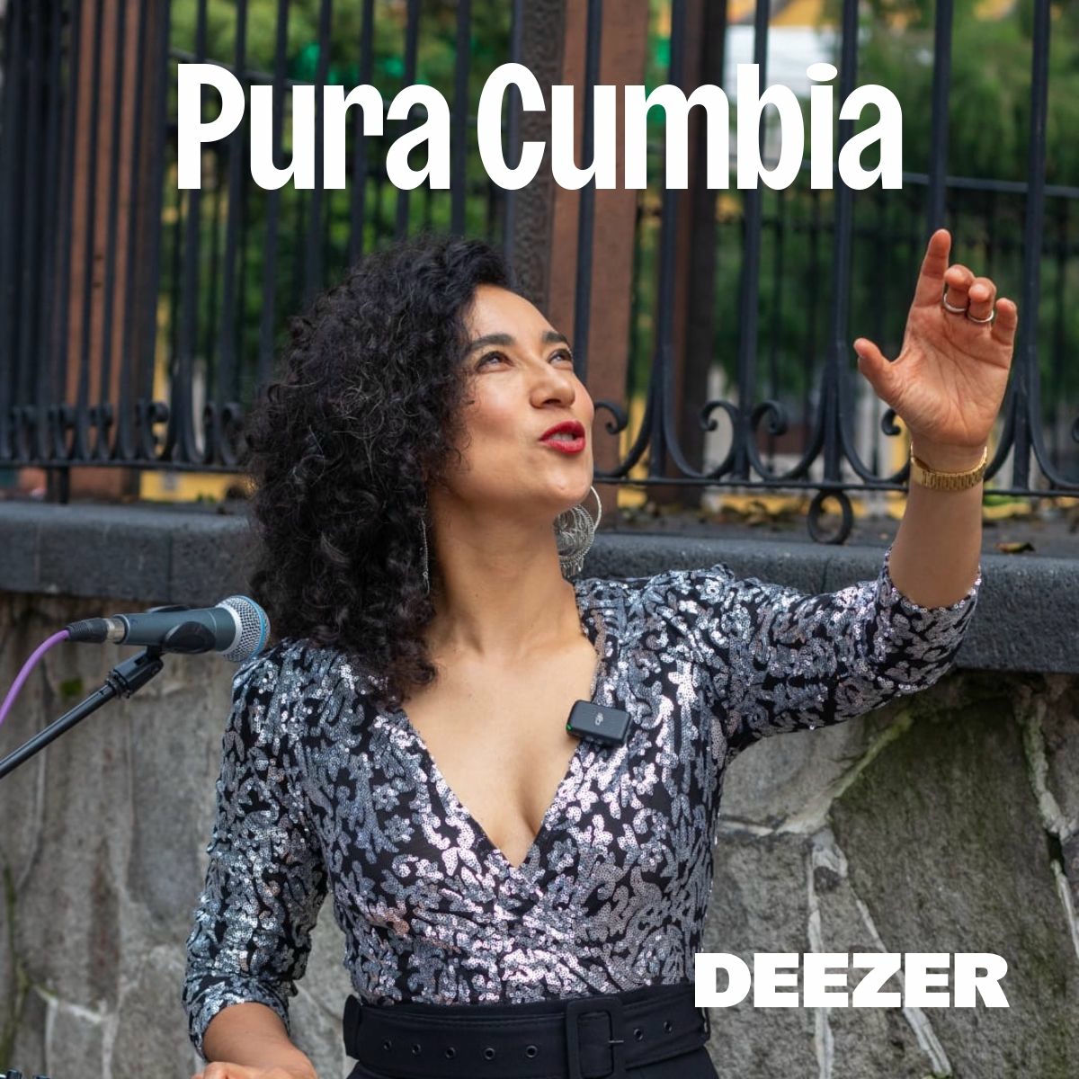 Cover of playlist Pura Cumbia