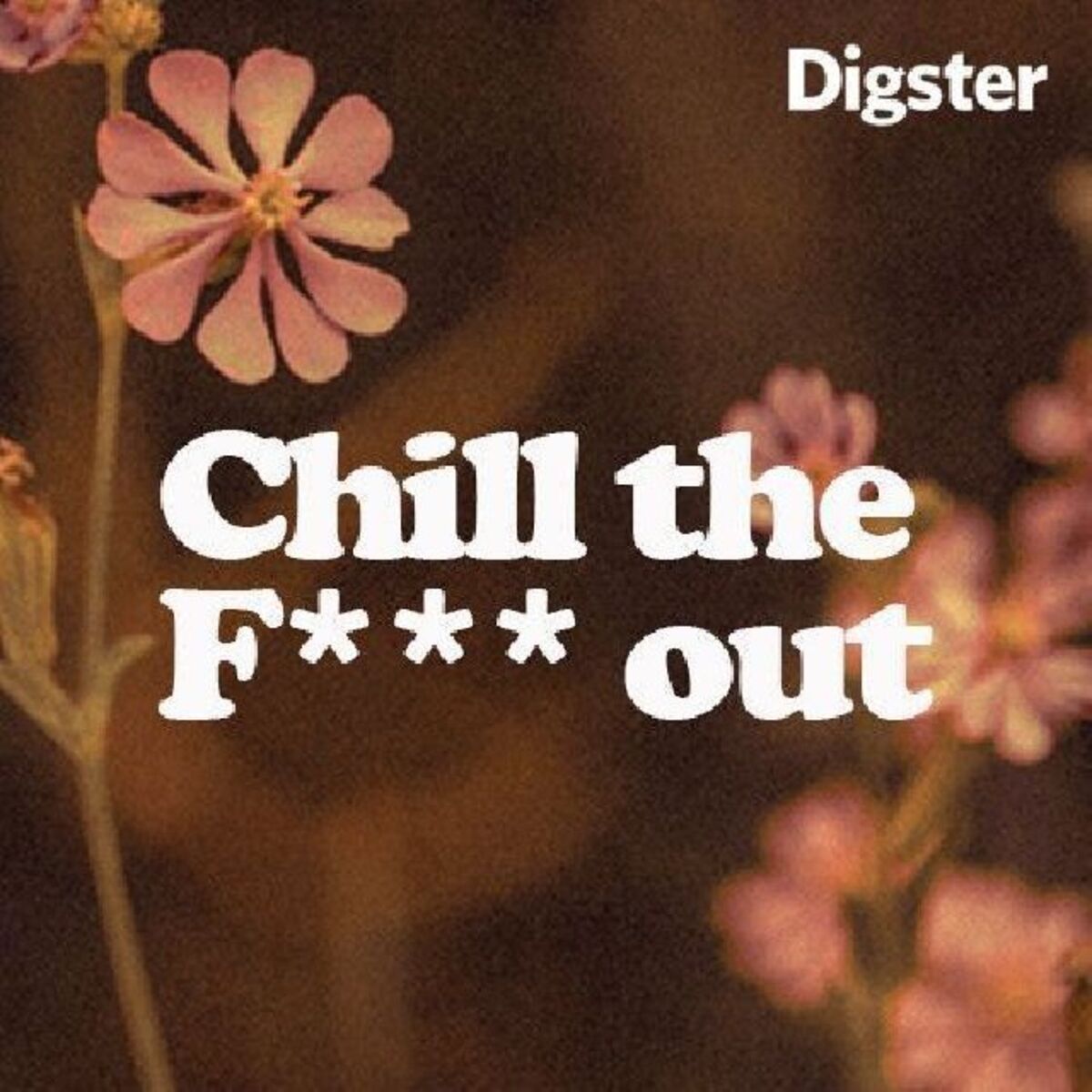 Cover of playlist Chill the F*** out - Relaxing Vibes