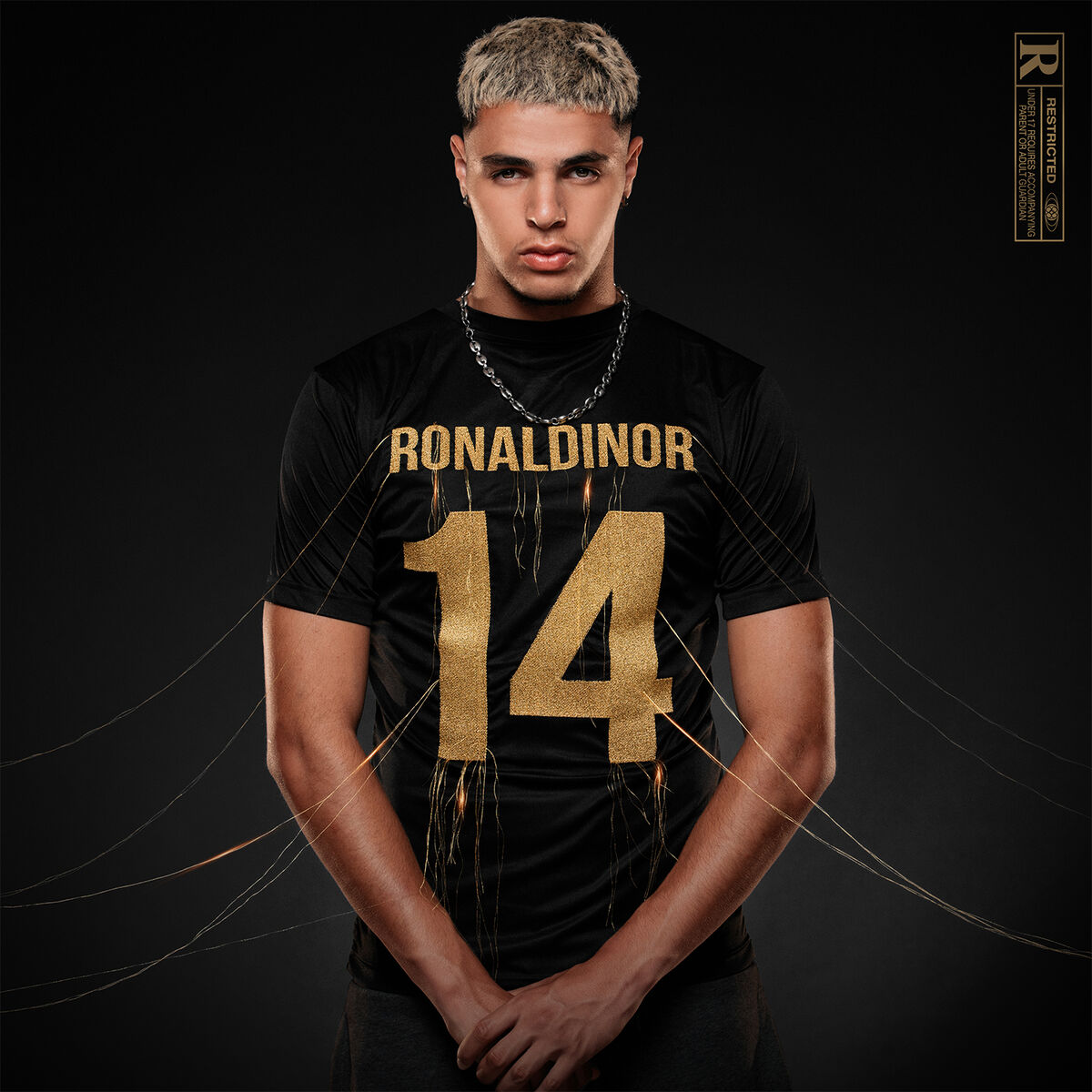 Cover of playlist Dinor RDT - Ronaldinor