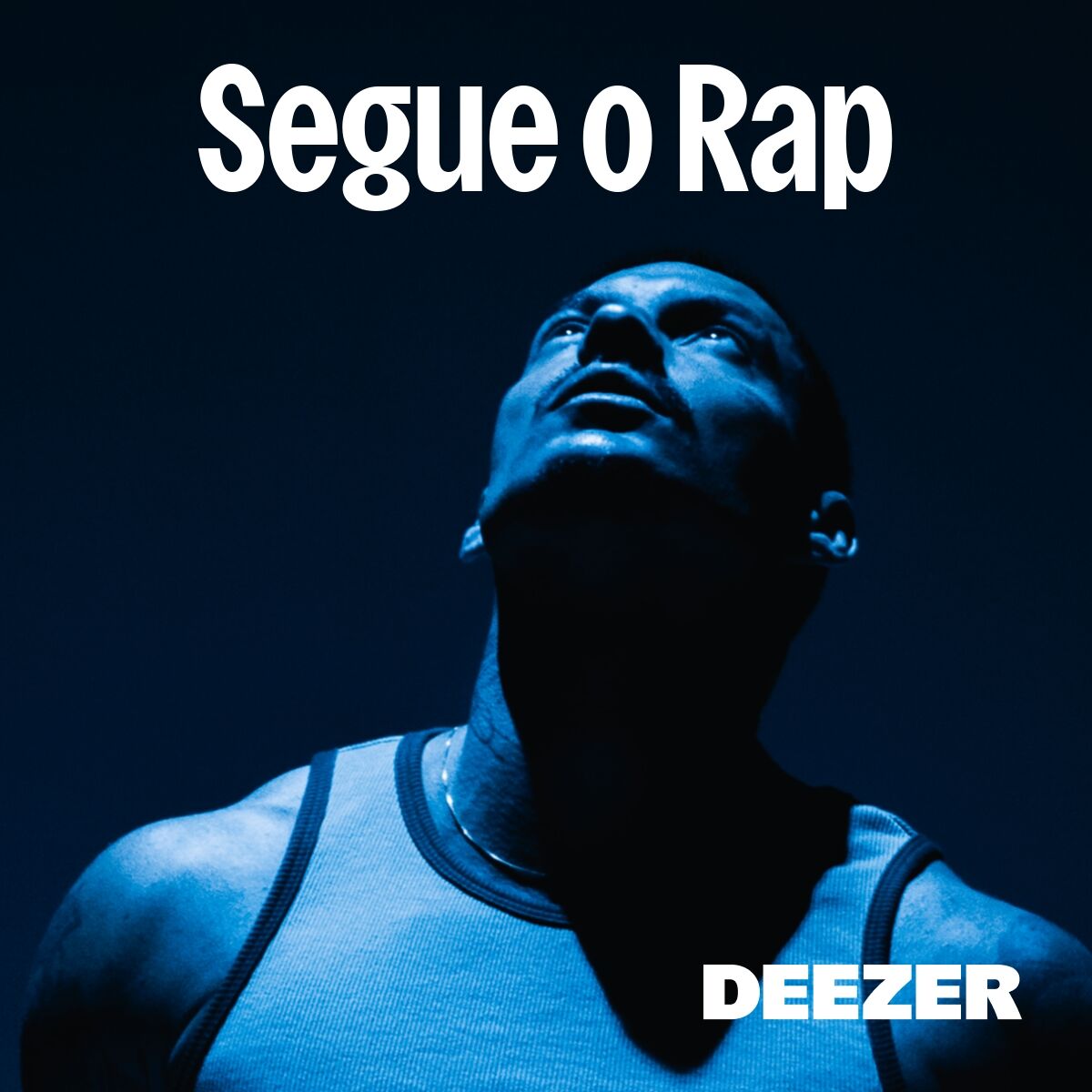 Cover of playlist Segue o Rap