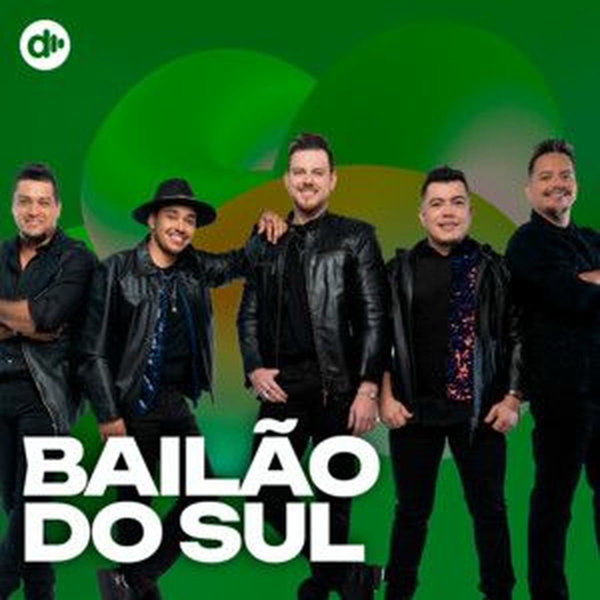 Cover of playlist Bailão do Sul