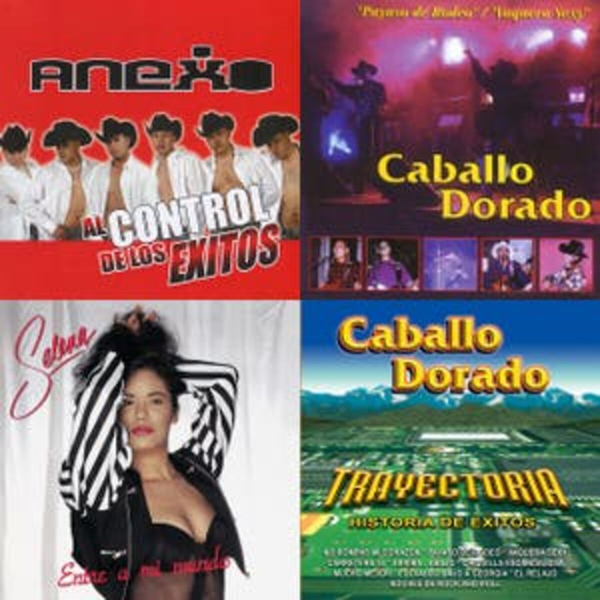 Cover of playlist Texanas 2022 Éxitos  No rompas más Caballo Dorado