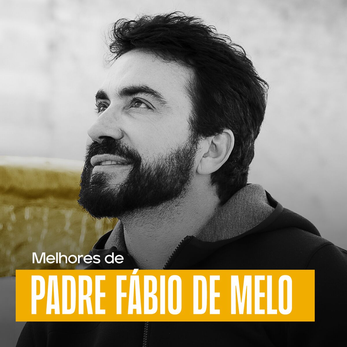 Cover of playlist Padre Fábio de Melo - As Melhores