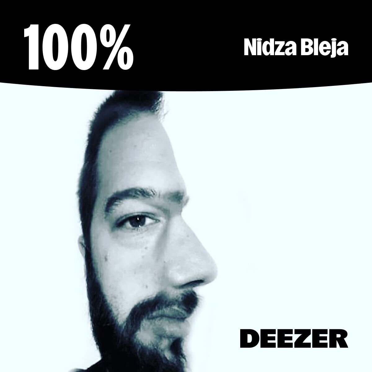 Cover of playlist 100% Nidza Bleja