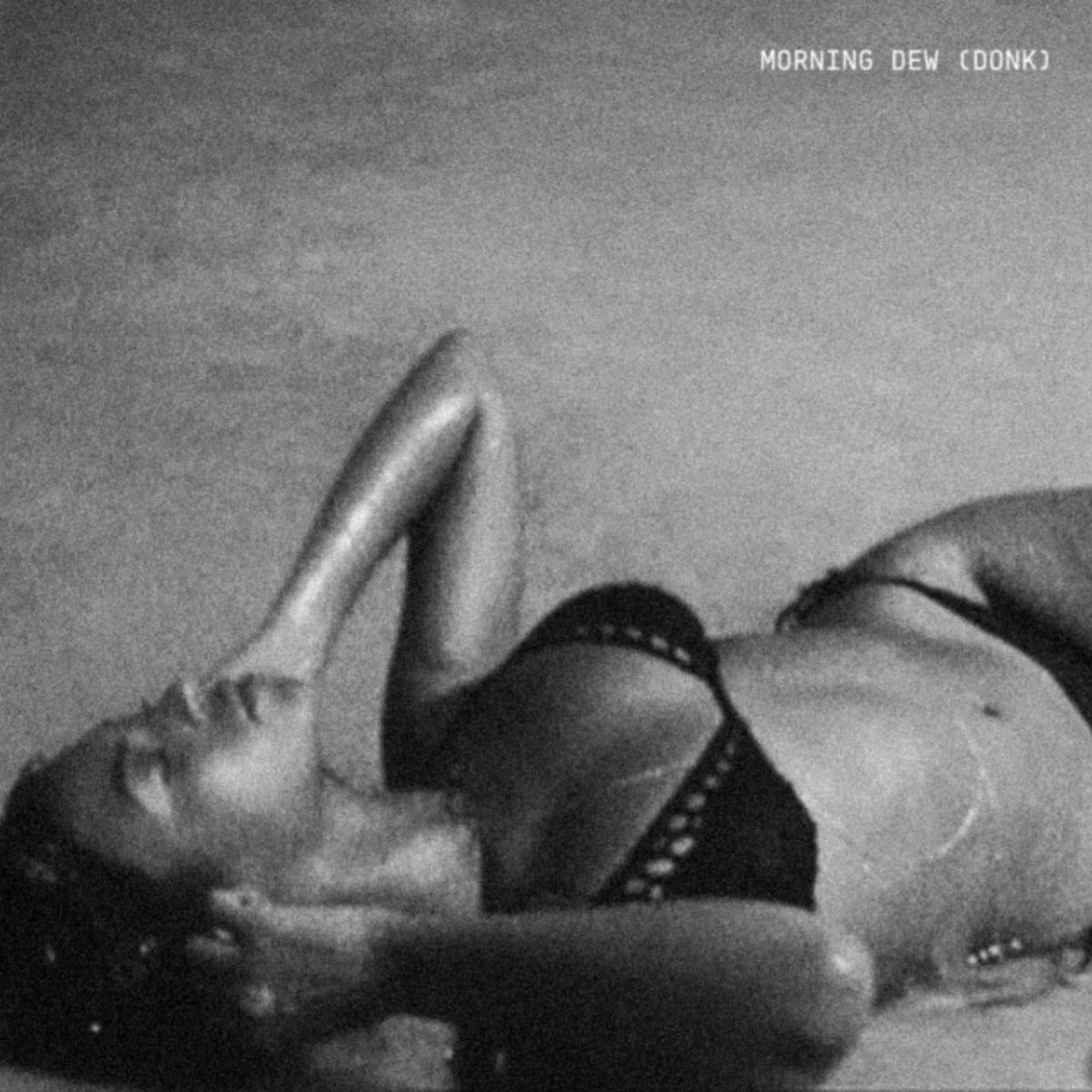 Cover of playlist Beyoncé 2026 🐝MORNING DEW (DONK)