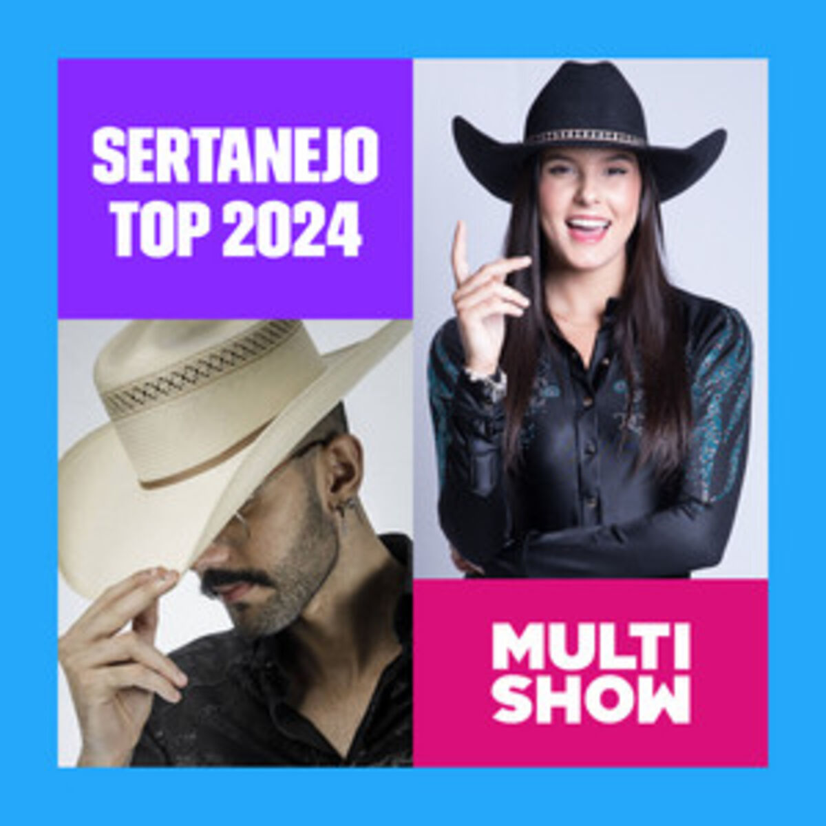Cover of playlist Top Sertanejo