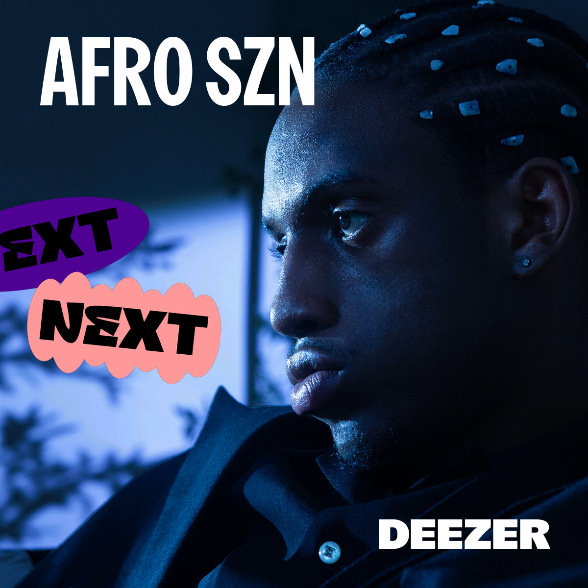 Cover of playlist AFRO SZN