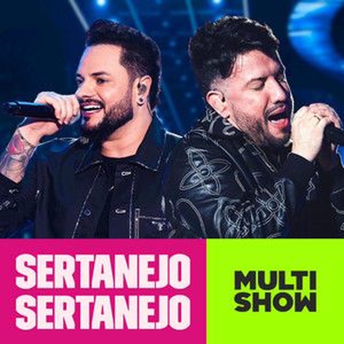 Cover of playlist Top Sertanejo